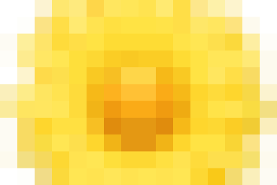 TRƯỜNG TIỂU HỌC PHÚ LỘC SÔI NỔI PHONG TRÀO HỘI HỌC – HỘI GIẢNG VÀ HỘI THI GIÁO VIÊN DẠY GIỎI CẤP TRƯỜNG NĂM HỌC 2025 – 2026