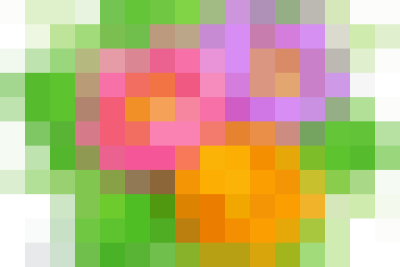 VINH DANH HỌC SINH ĐẠT GIẢI TIMO QUỐC GIA & KHOA HỌC QUỐC TẾ (ISCO