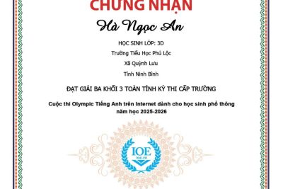 VINH DANH KÌ THI IOE CẤP TRƯỜNG